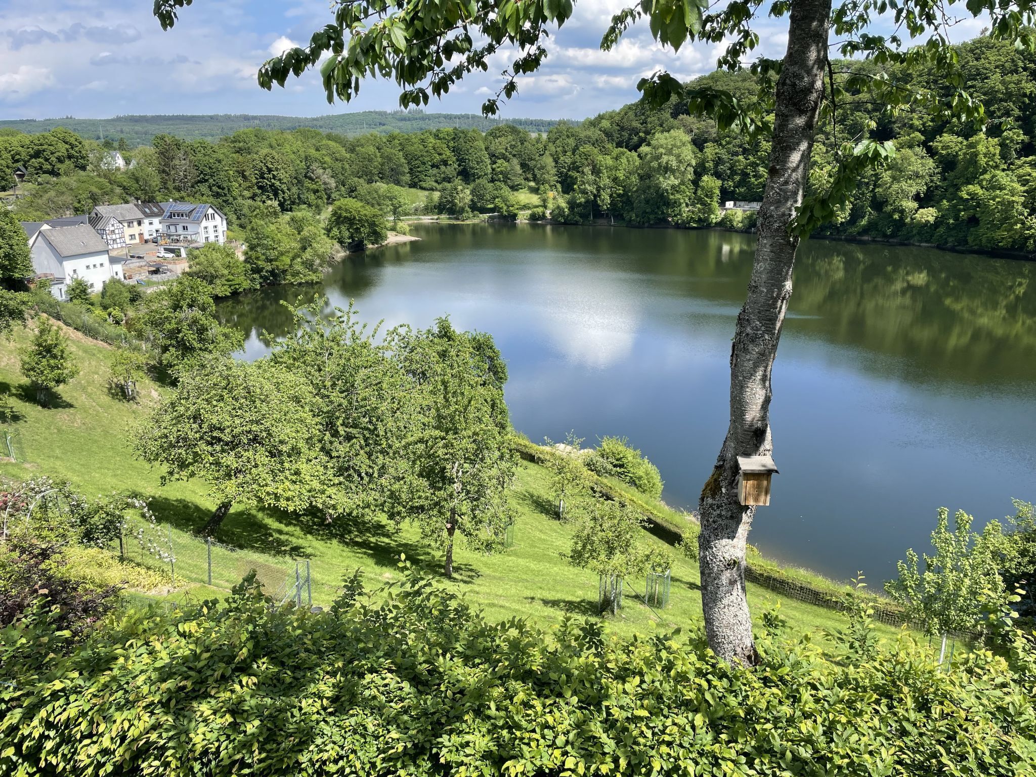 Blick auf einen See mit einem Haus und üppigem Grün.