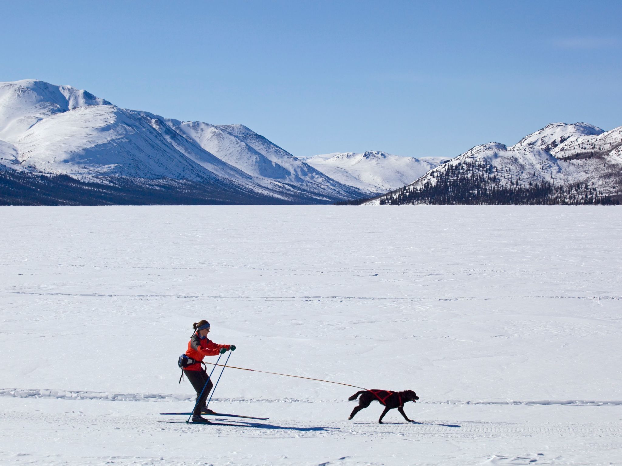 A person skiing on a flat snowy surface with a dog on a leash.