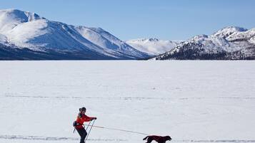 A person skiing on a flat snowy surface with a dog on a leash.