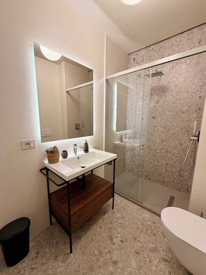 Shower, hair dryer, bidet, towels