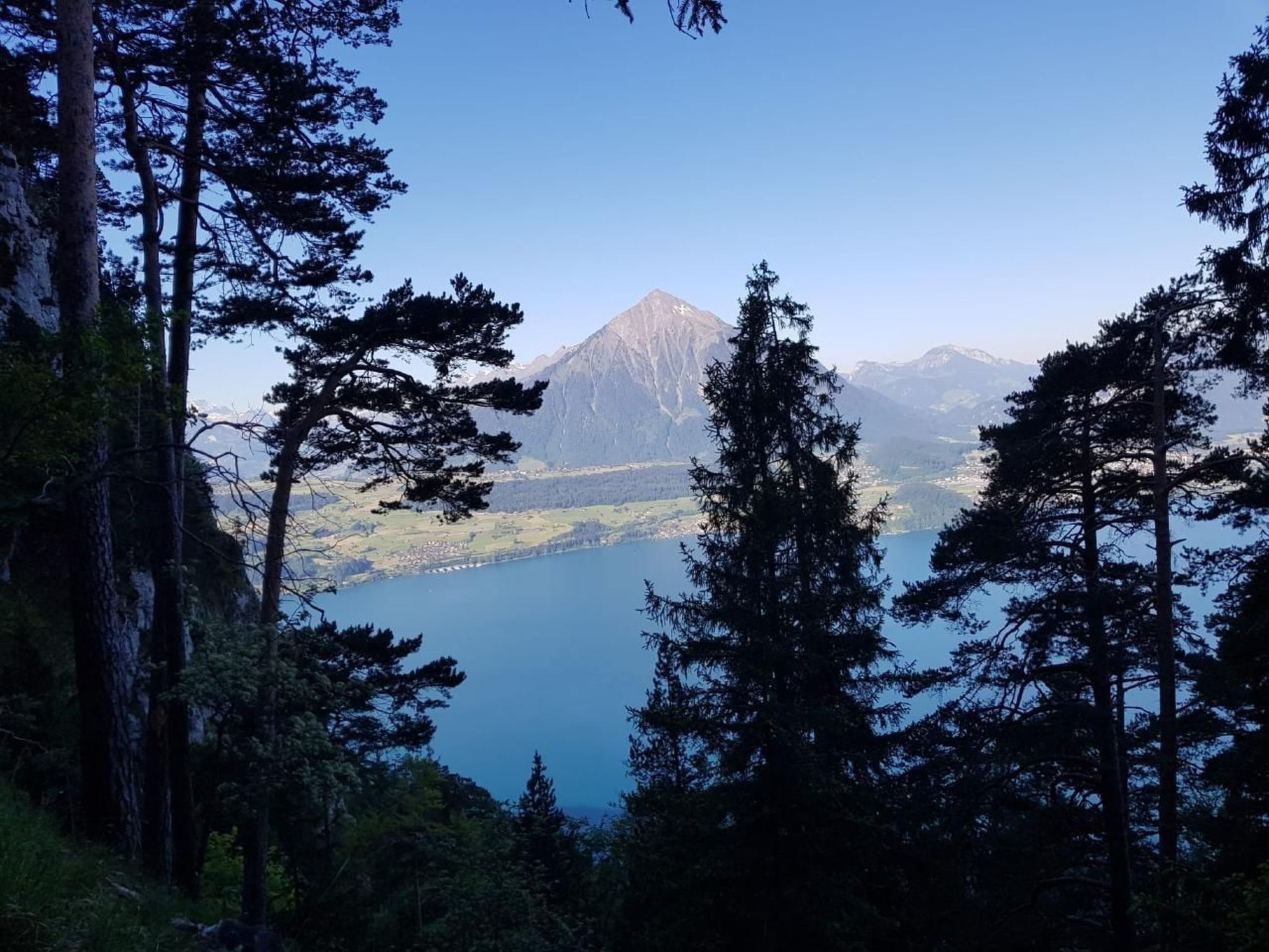 A mountainous landscape with a prominent peak, surrounded by dense forest and a lake.