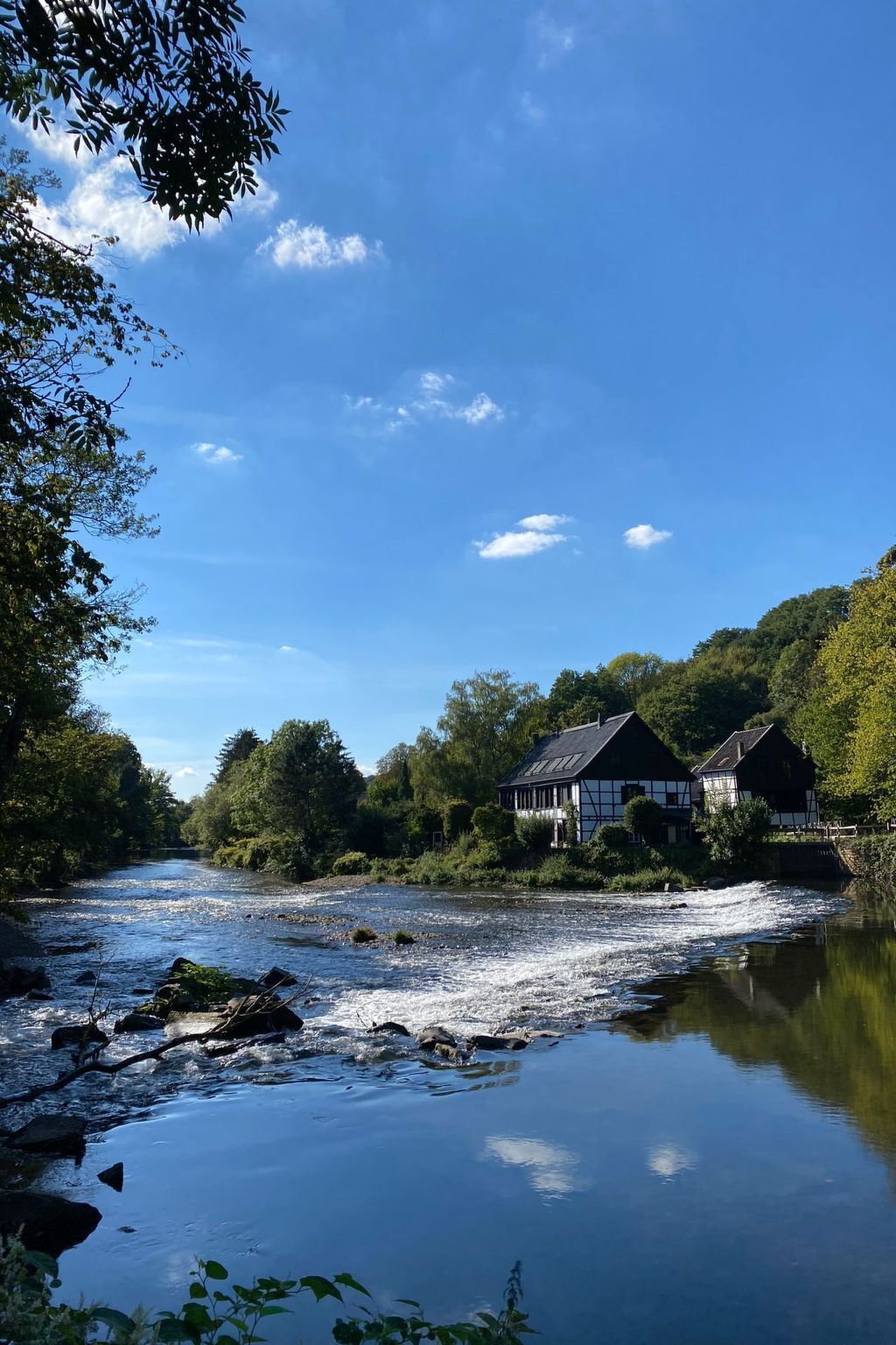Ein Fluss fließt durch ein bewaldetes Gebiet, auf der rechten Seite befinden sich zwei Häuser.