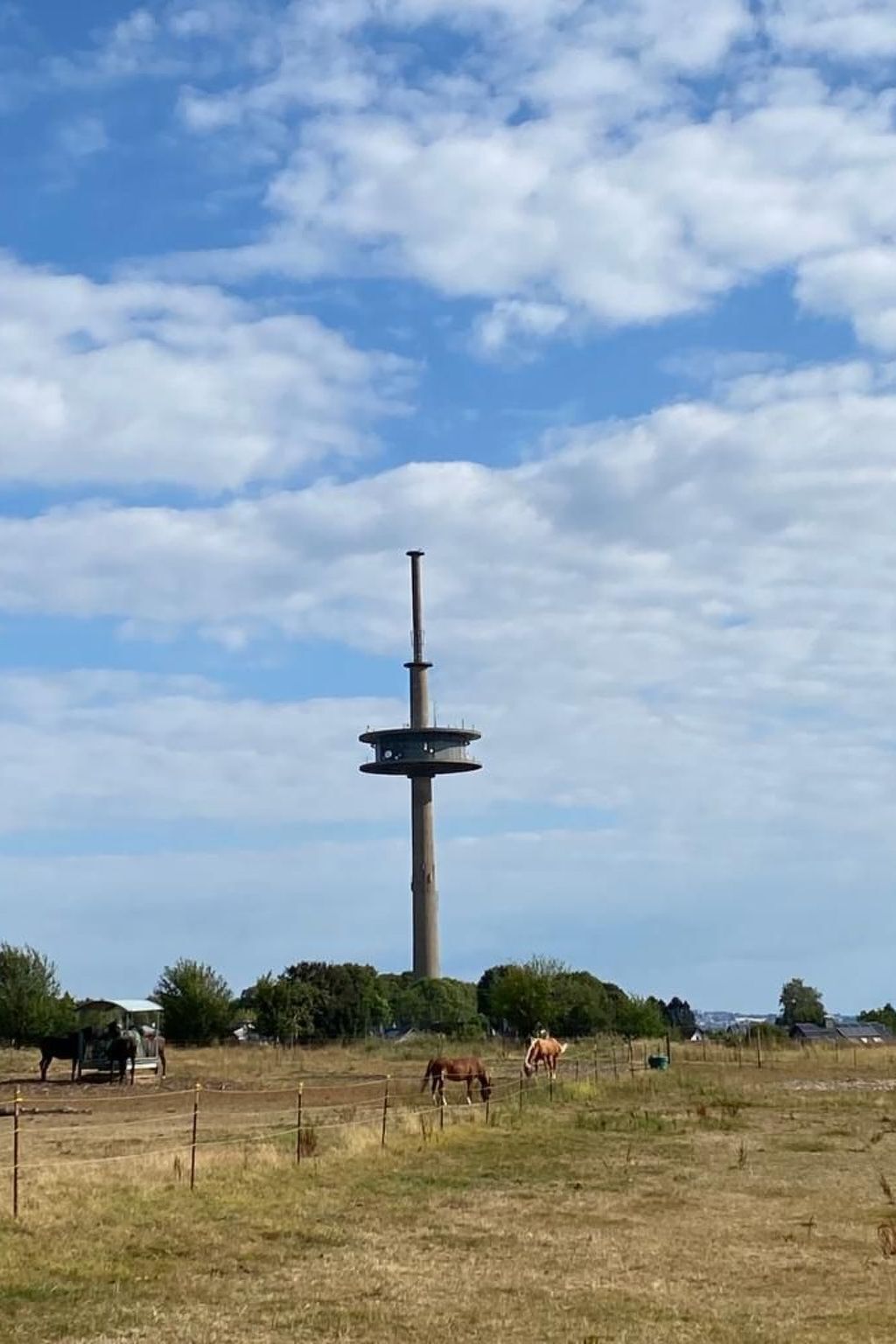 Ein Turm mit einer kreisförmigen Aussichtsplattform, umgeben von einer eingezäunten Fläche, auf der Pferde weiden.