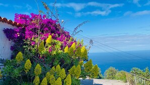 Una carretera costera con buganvillas vibrantes y flores amarillas, que conduce a un mirador panorámico.