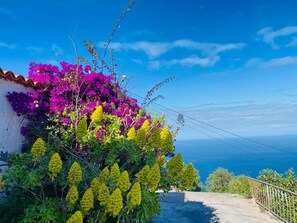 Property grounds - Finca Ventana al Mar by Interhome (El Tanque)
