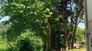 A garden with a pathway leading to a building. - Fewo Am Sommerberg by Interhome (Donaueschingen)