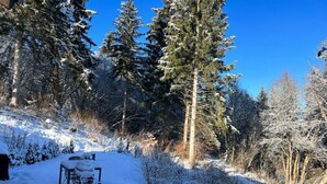 A snow-covered pathway leading through a forest with tall evergreen trees. - Fewo Am Sommerberg by Interhome (Donaueschingen)