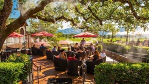 Un espace extérieur aménagé avec des tables et des chaises rondes, entouré de verdure et agrémenté de parasols rouges.