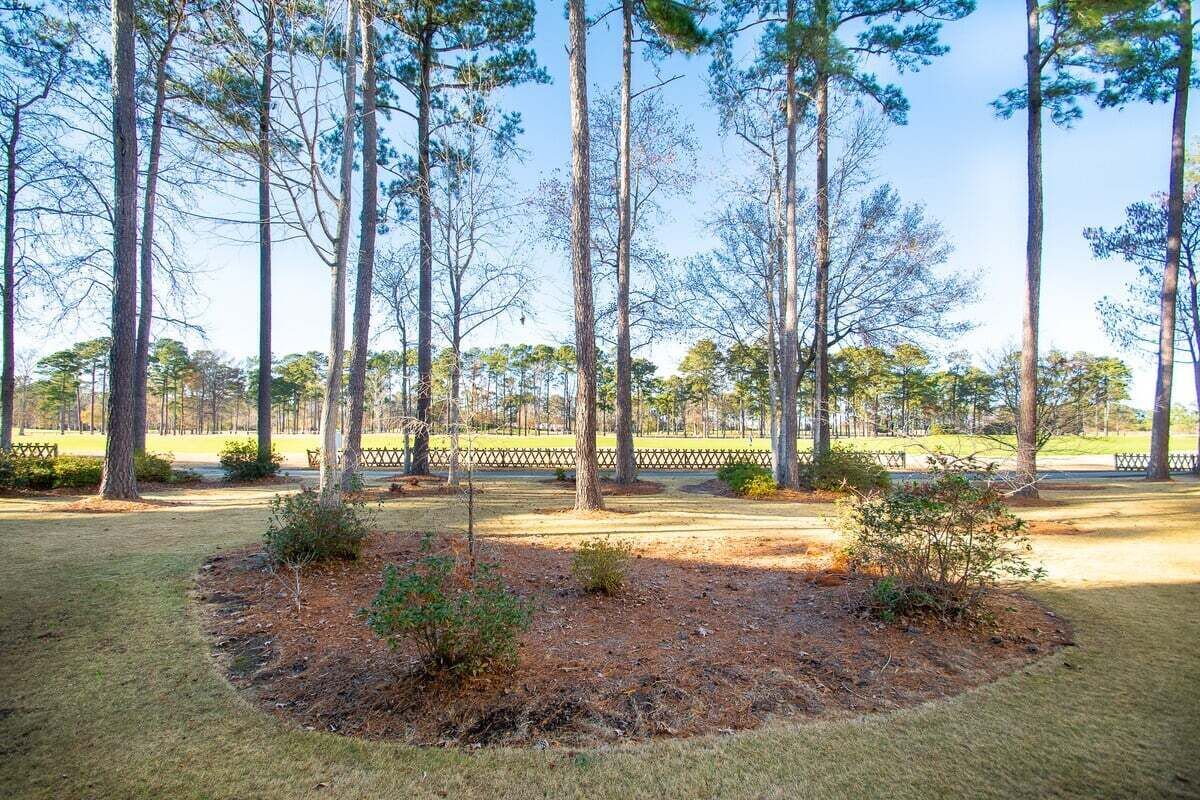 A park with tall trees, a grassy area, and a fenced path.