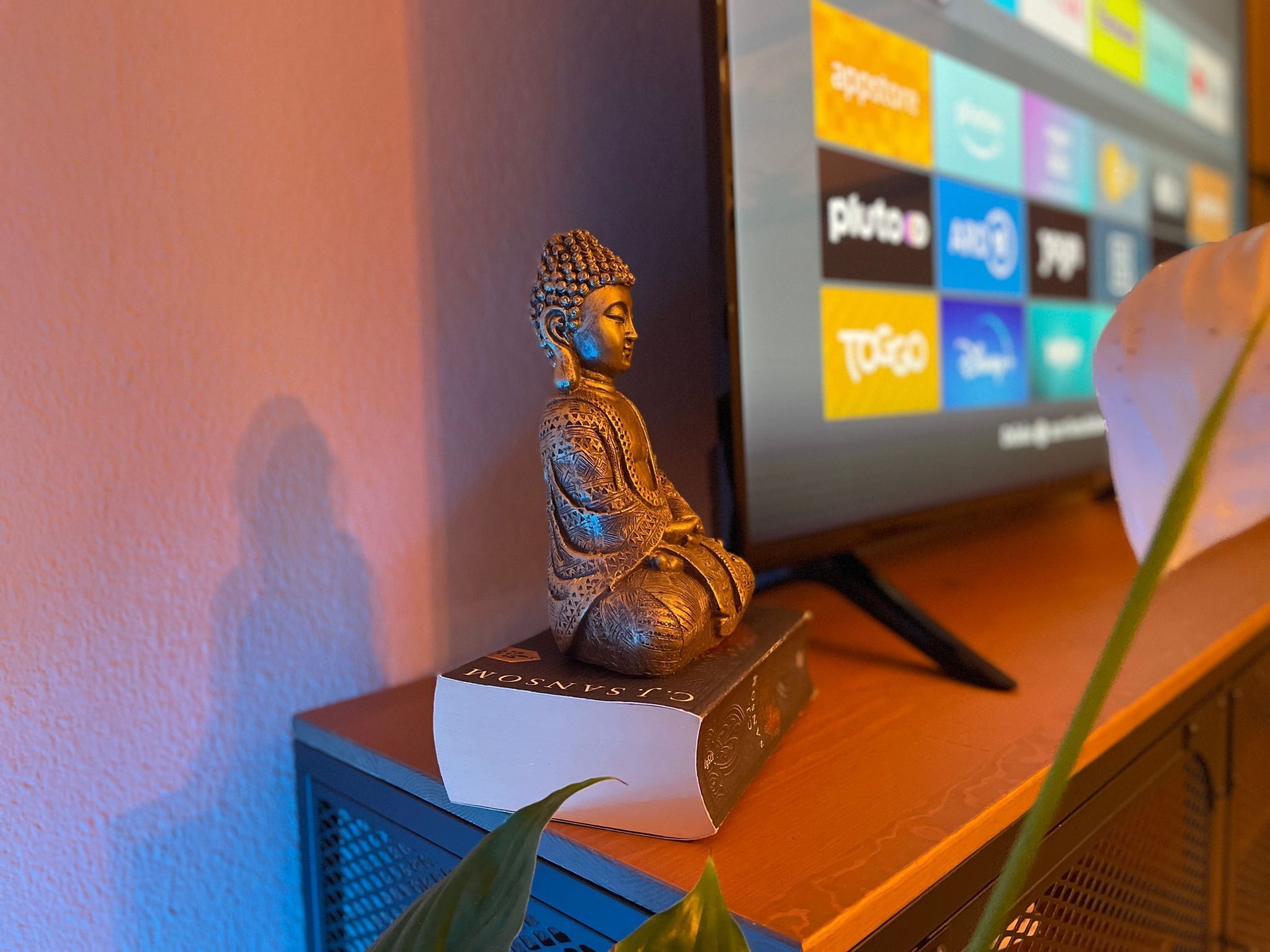En Buddha-figur på en hylde med en bog og en computerskærm, der viser forskellige logoer.