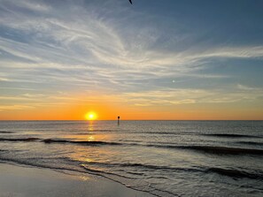 Sun-loungers, beach towels - Beautiful One Bedroom Avalon At Clearwater (Clearwater)