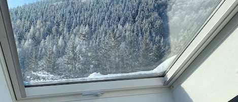 A skylight with a view of a snow-covered forest and a distant mountain range.
