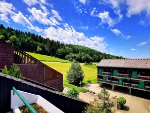 Property grounds - Schwarzwald Loft mit Schwimmbad und herrlicher Aussicht by Interhome (Sasbachwalden)