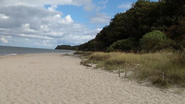 Ein sandiger Strand mit einer Rasenfläche und einem bewaldeten Hügel im Hintergrund.