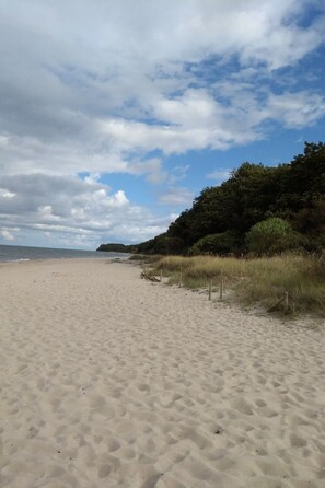 Ein sandiger Strand mit einer Rasenfläche und einem bewaldeten Hügel im Hintergrund.