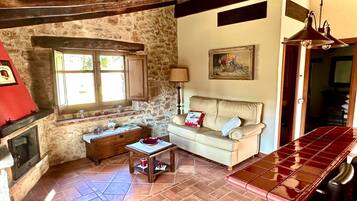 TV, fireplace, DVD player