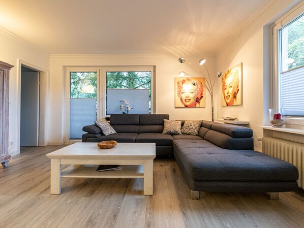 Chimenea y reproductor de DVD 