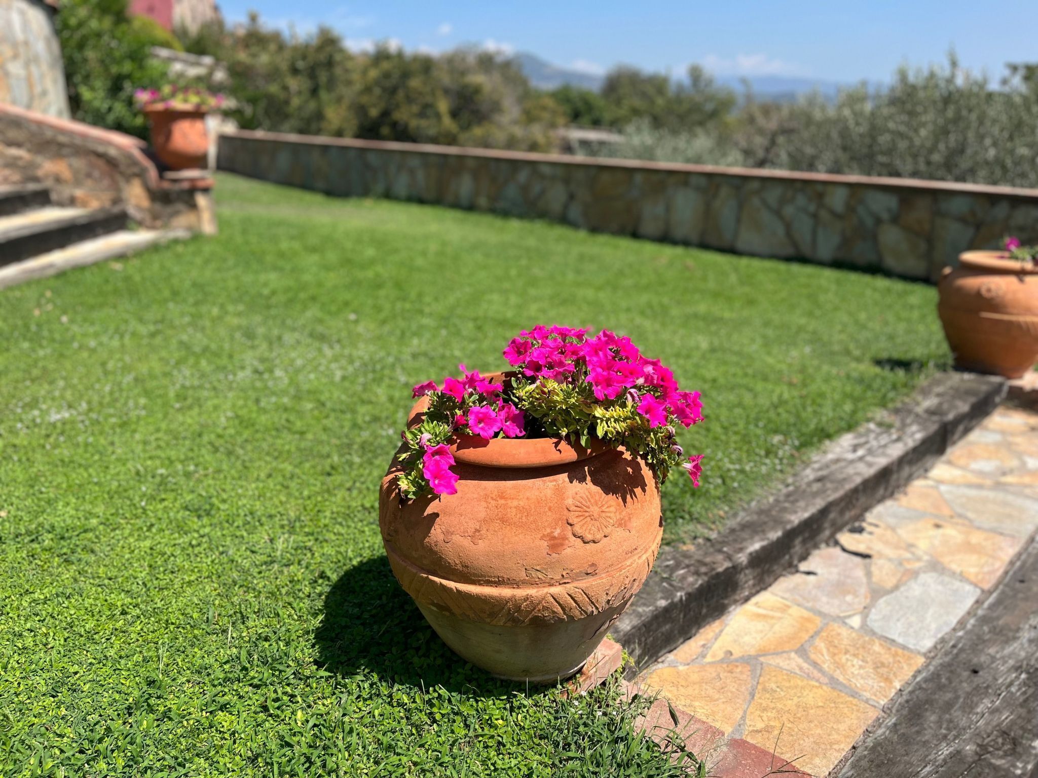 Jardines del alojamiento