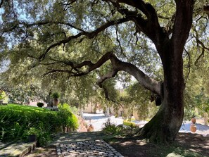 Jardines del alojamiento