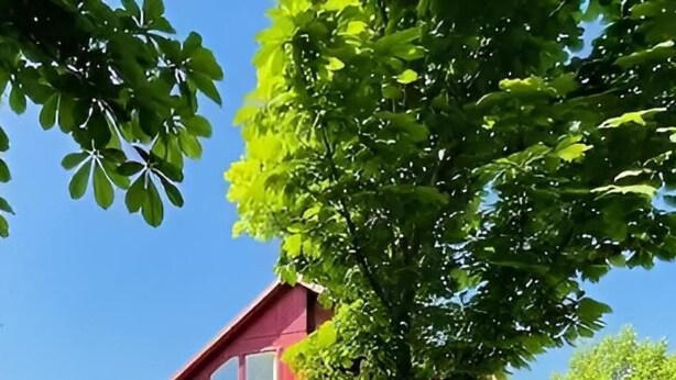 Et rødt og hvidt hus med et træ foran.