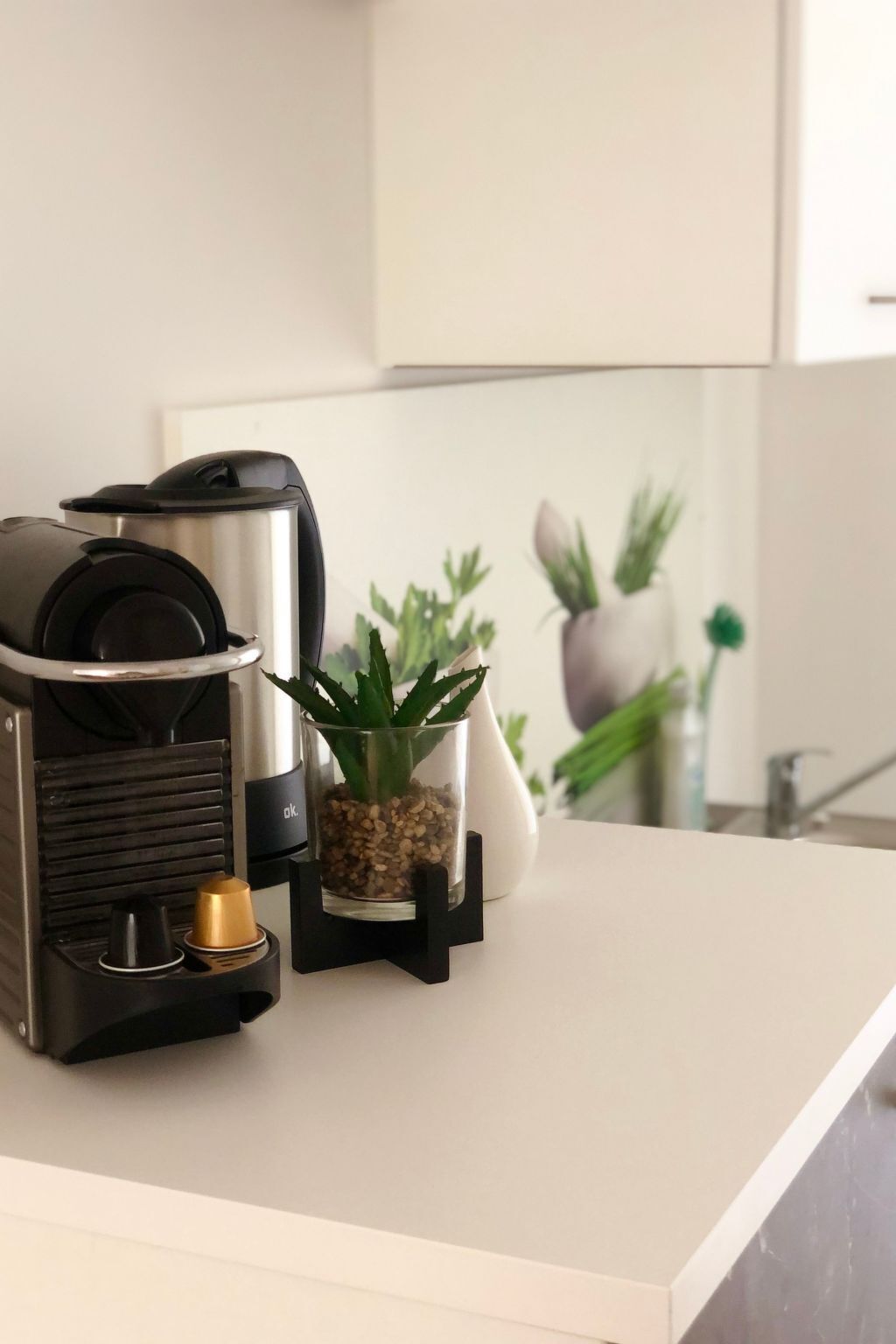 Eine Küchenarbeitsplatte mit einer Kaffeemaschine, einem Topfpflanzen und einem weißen Schrank im Hintergrund.