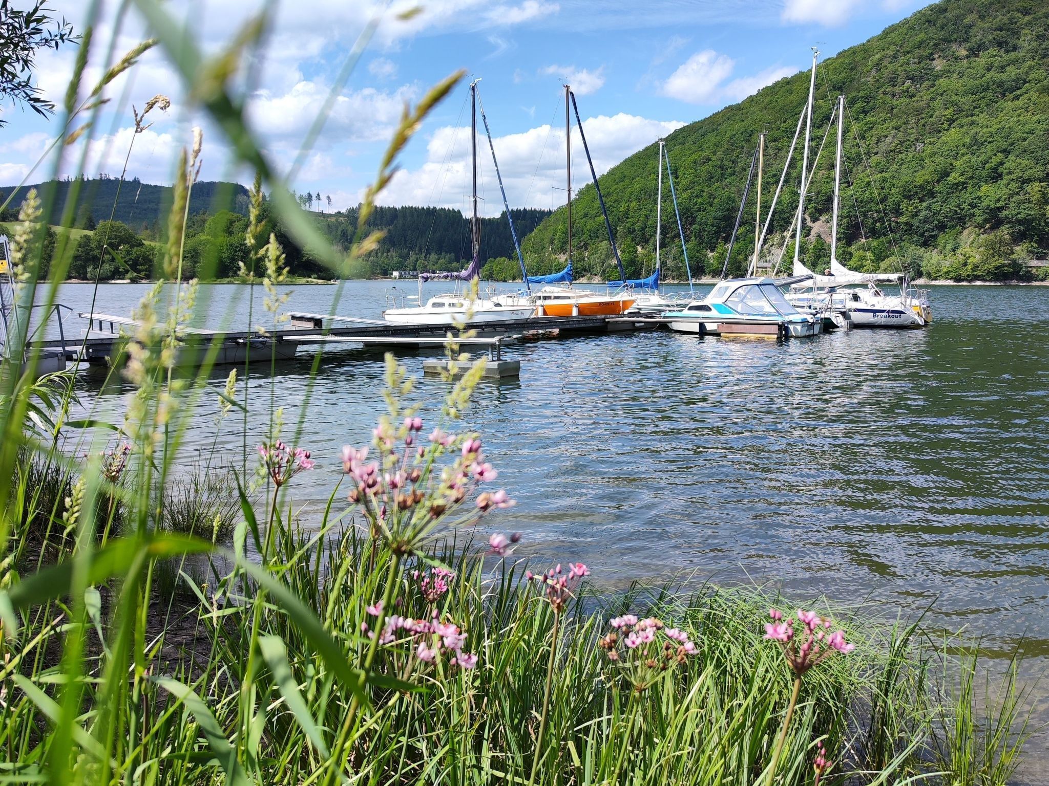 Jachthaven