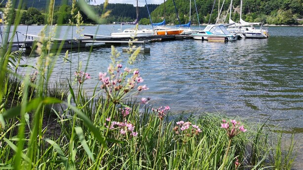 A marina with boats docked, surrounded by greenery and hills. - für 6 Personen ca. 60 m² in Diemelsee-Heringhausen, Hessen (Hessisches Ber by Interhome (Diemelsee)