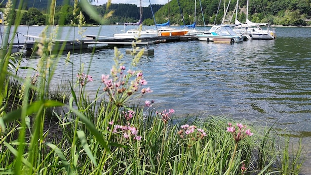 Ein Yachthafen mit vertäuten Booten, umgeben von Grünflächen und Hügeln.