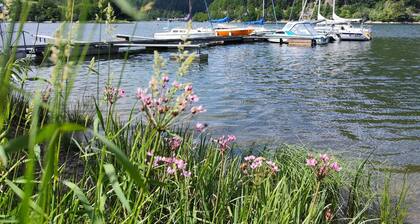 diemelseeholiday Ferienwohnung im Sauerland by Interhome