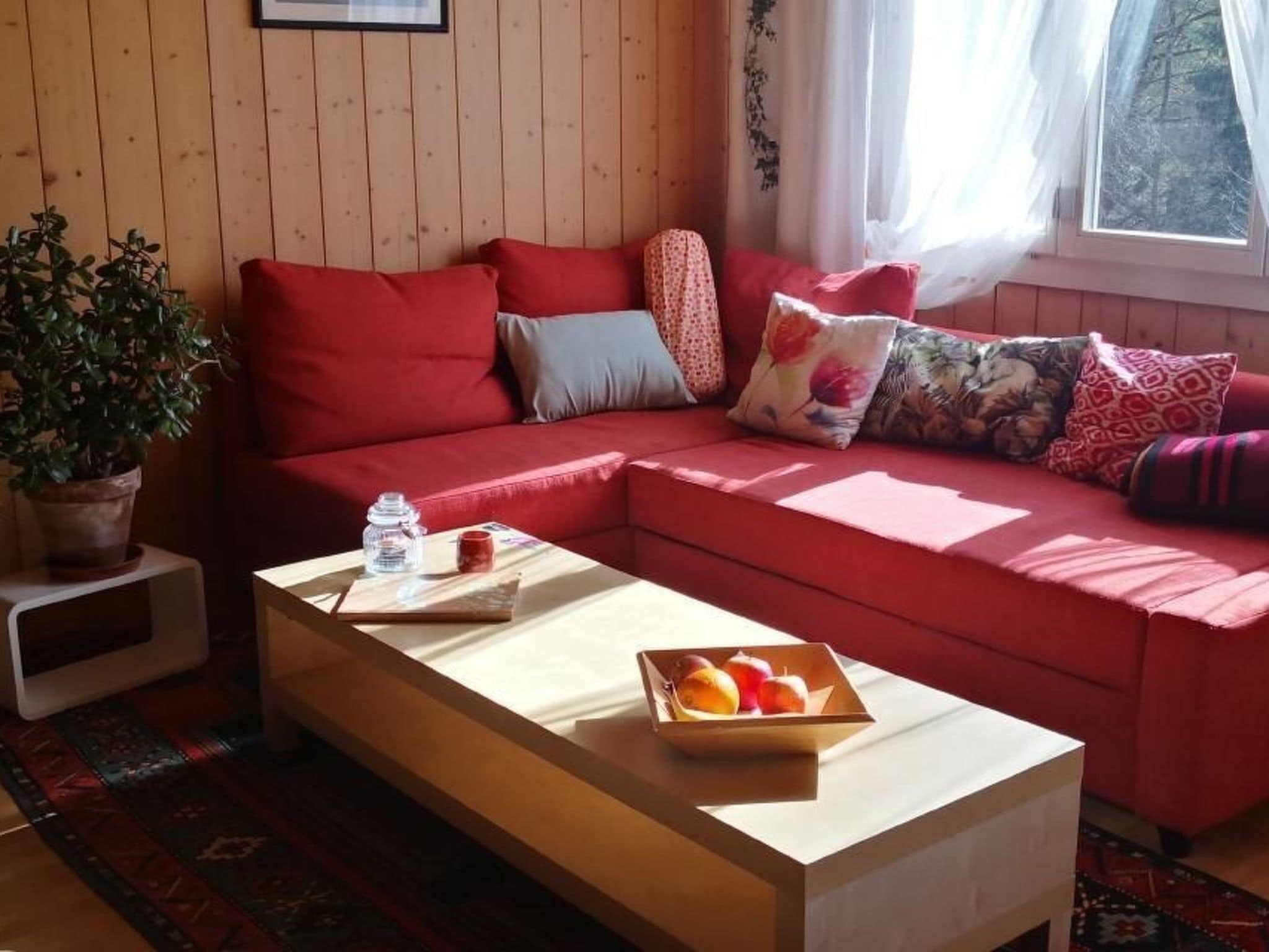 电视、DVD 播放器