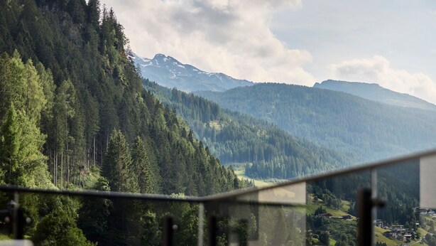 Eine Berglandschaft mit einem bewaldeten Tal und einer fernen Bergkette.
