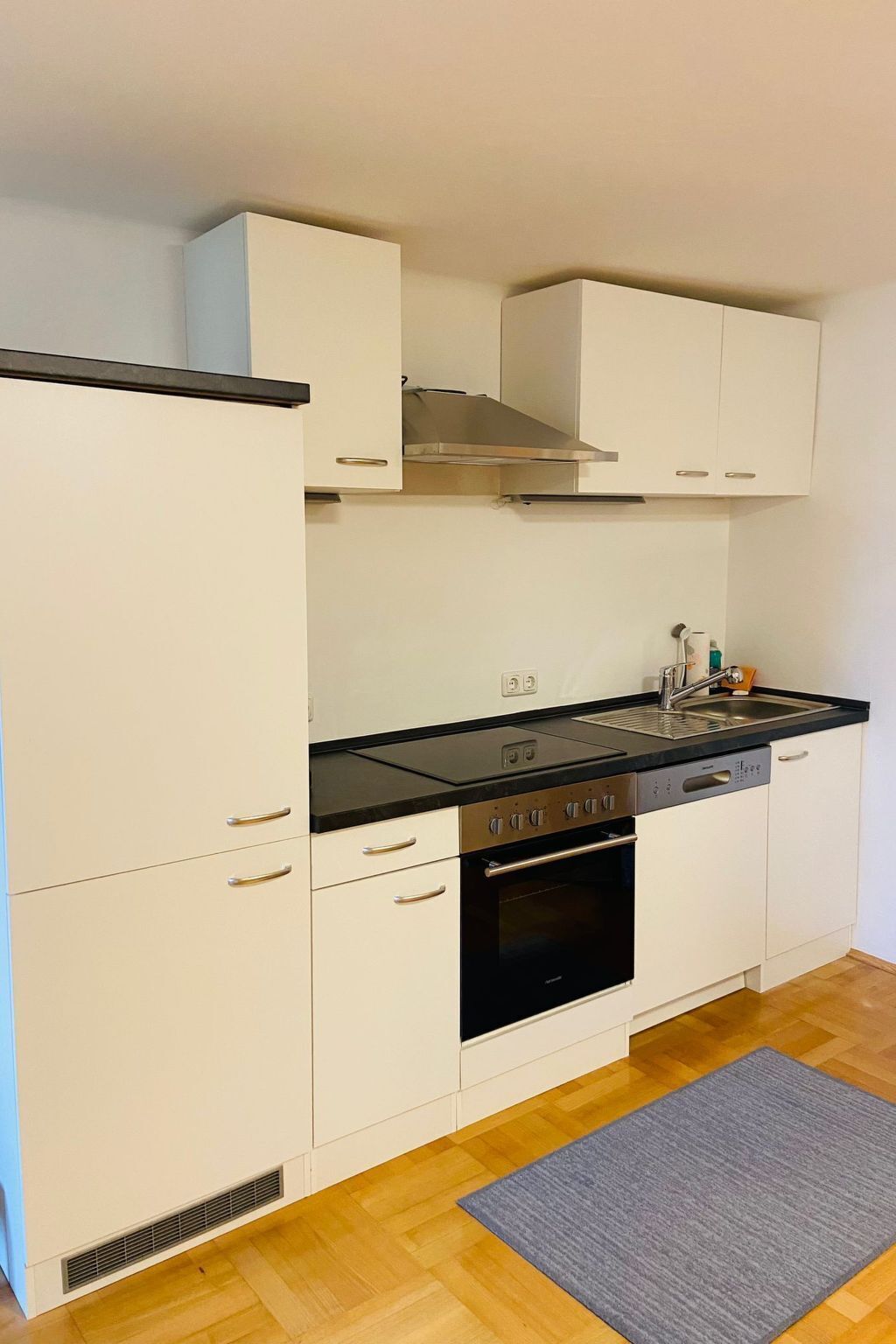 Kühlschrank, Geschirrspüler, Kochgeschirr/Geschirr/Besteck