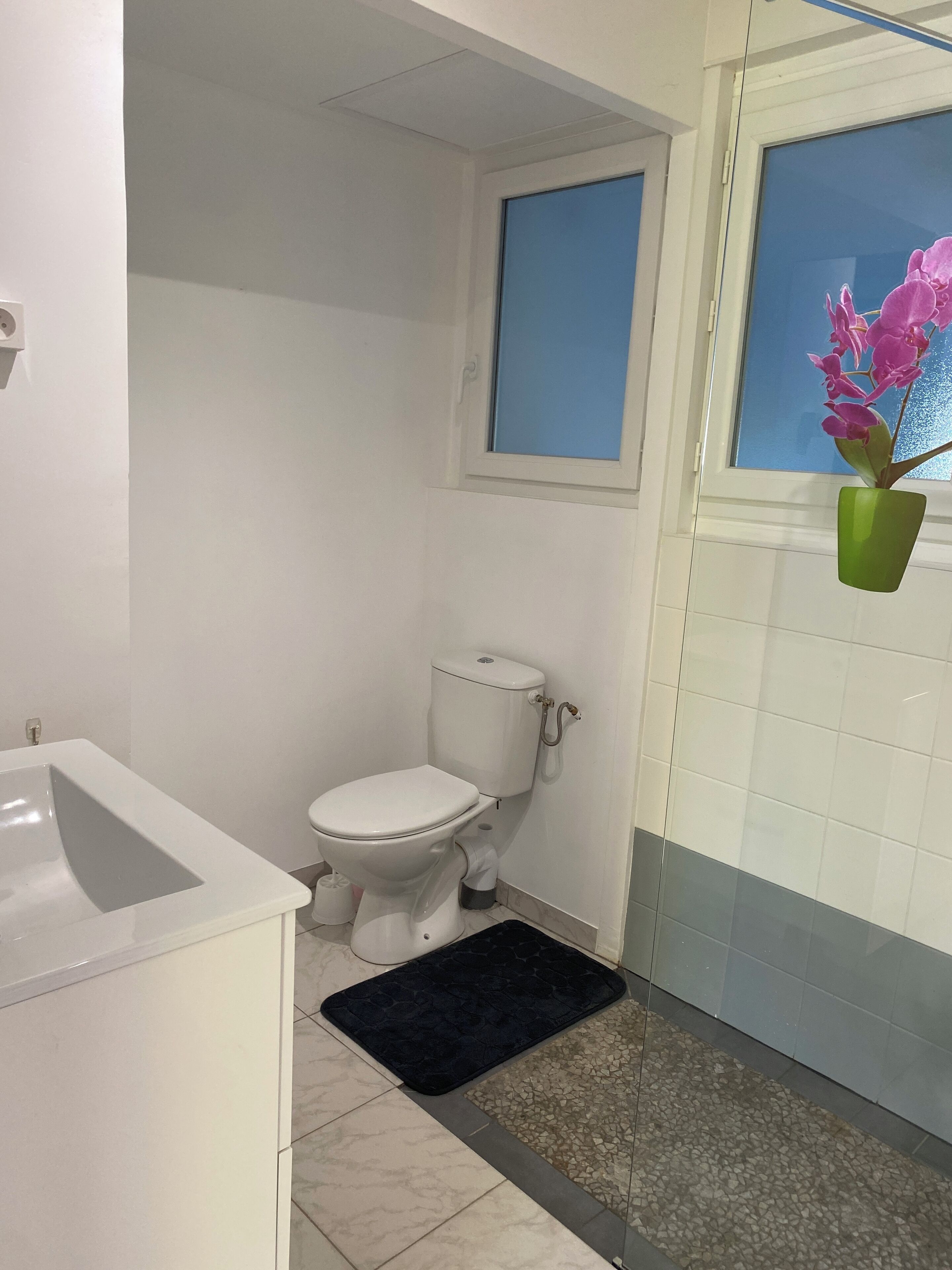 A bathroom with a white toilet, a white sink, a black bath mat, and a window with a view of the outside.