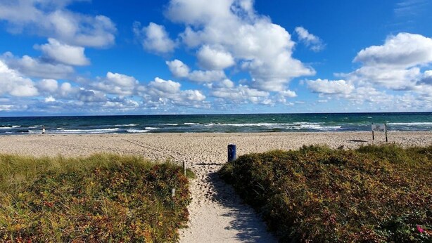 A beach path leading to the ocean with a sign indicating 'Surfing'. - Maltes-Ostseekoje by Interhome (Hasselberg)