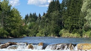 Ein Fluss mit klarem Wasser, das über Felsen fließt, umgeben von dichtem Grünwald.