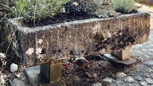 Ein rustikaler Steinpflanzkasten mit Wildblumen und eine Holzhütte im Hintergrund.