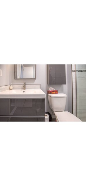 Hair dryer, towels, soap, toilet paper - Adorable Bachelor unit, close to hospitals, shopping centres and downtown Ottawa (Ottawa)