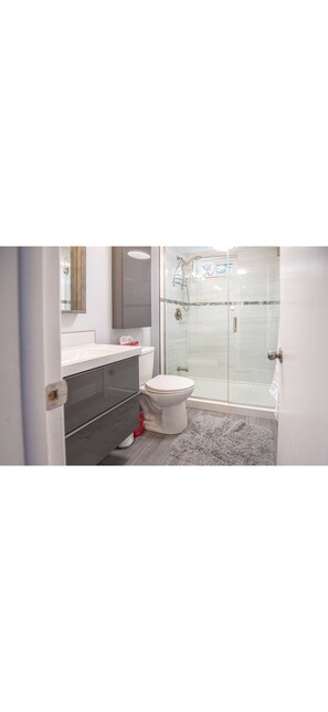 Hair dryer, towels, soap, toilet paper - Adorable Bachelor unit, close to hospitals, shopping centres and downtown Ottawa (Ottawa)
