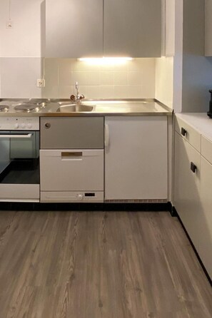 Fridge, oven, dishwasher, cookware/dishes/utensils - Derby 37 by Interhome (St. Moritz)
