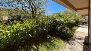 Un jardin avec différentes sortes de plantes et un sentier.