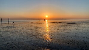 Une plage au coucher du soleil, avec un ciel dégagé et une eau calme.