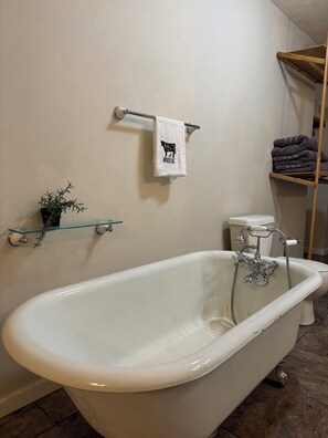 Towels, soap, toilet paper