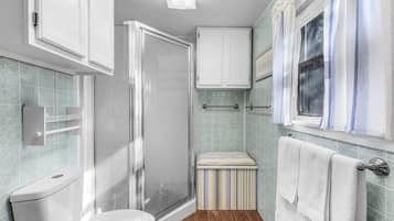 Shower, towels, toilet paper