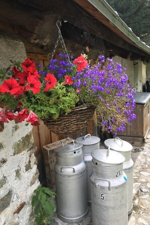 Eine rustikale Außenanlage mit einer Holzhütte, einem hängenden Blumenkorb und Metallbehältern.