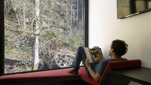 Eine Person sitzt auf einer roten Bank, ein Buch lesend, neben einem Fenster mit Blick auf Bäume.