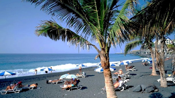 Una playa con palmeras, sombrillas y gente tomando el sol.