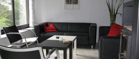 Una chimenea, un reproductor de DVD