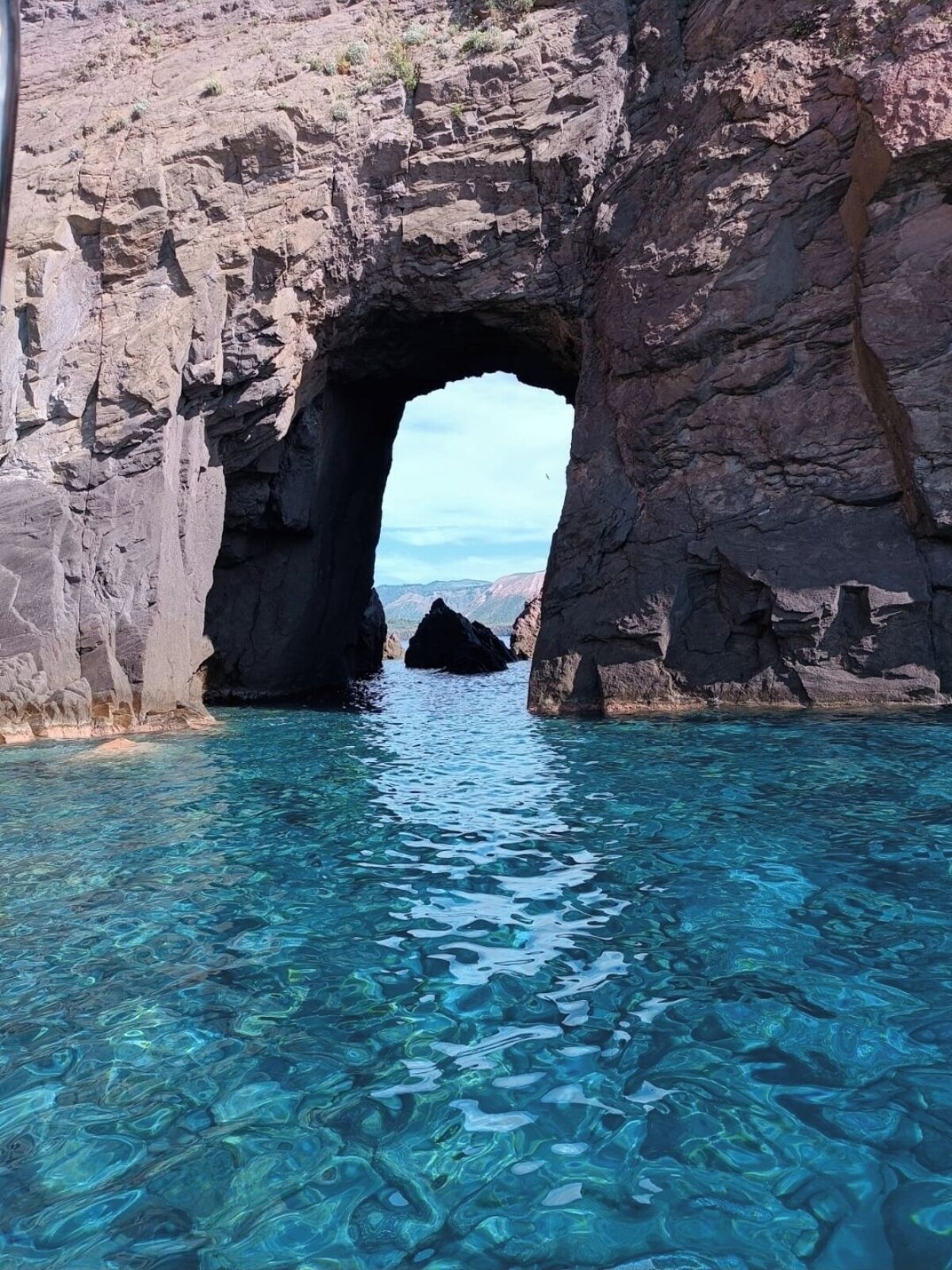 Imagen de perfil del propietario o de la propietaria