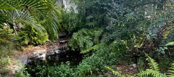 Enjoy the Pleasures of Historic Downtown Dade City- The Dade City Bungalow