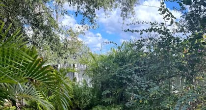 Enjoy the Pleasures of Historic Downtown Dade City- The Dade City Bungalow